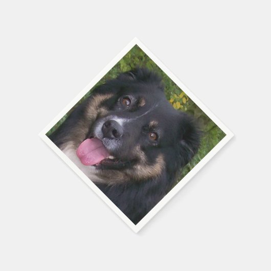 Miniature American Shepherd Black Tri Serviette (Ecke)