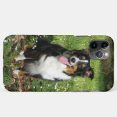Miniature American Shepherd Black Tri Sitzend Case-Mate iPhone Hülle (Rückseite (Horizontal))