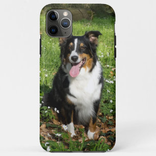 Miniature American Shepherd Black Tri Sitzend Case-Mate iPhone Hülle