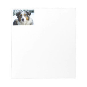 Miniature American Shepherd Blue Merle Notizblock