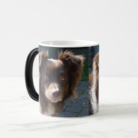 miniature american shepherd red tri verwandlungstasse (Vorderseite Links)