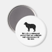 Miniature Australian Shepherd Magnet (Vorderseite/Rückseite)