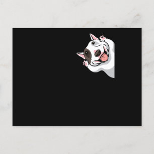 Miniature Bull Terrier Dog Funny Postkarte