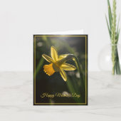 Miniature Daffodil Mother's Day Karte (Vorderseite)