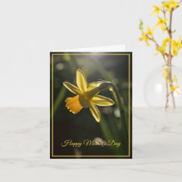 Miniature Daffodil Mother's Day Karte
