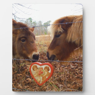 Miniature Donkey & Horse Valentine Heart Fotoplatte