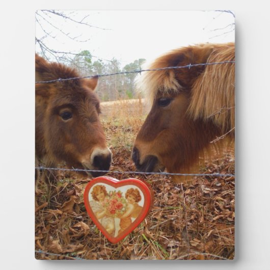 Miniature Donkey & Horse Valentine Heart Fotoplatte (Vorderseite)