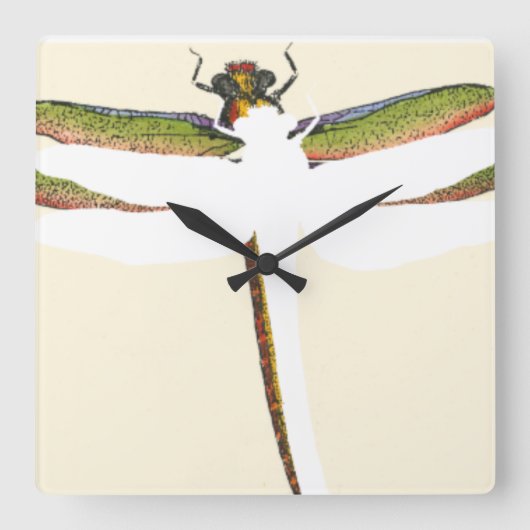 Miniature Dragonfly on White Background Quadratische Wanduhr (Vorderseite)