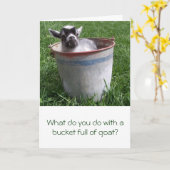 Miniature Goat in a Bucket Greeting Card Karte (Gelbe Blume)