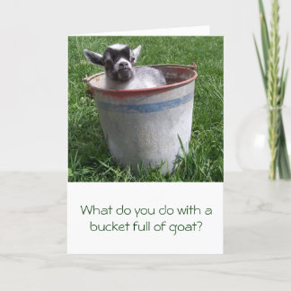 Miniature Goat in a Bucket Greeting Card Karte