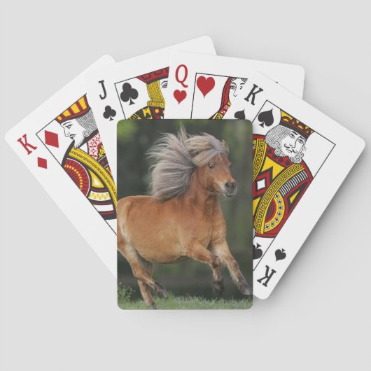 Miniature Horse Running Spielkarten (Rückseite)