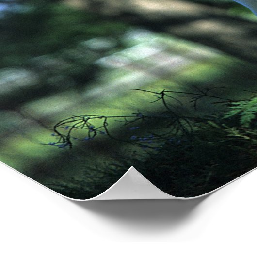 Miniature Horse Standing in the Trees Poster (Ecke)