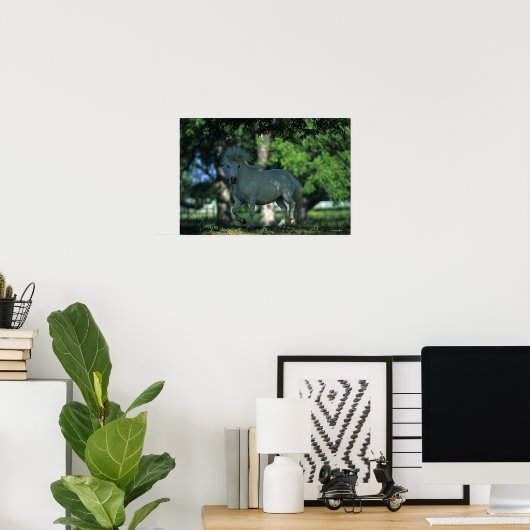 Miniature Horse Standing in the Trees Poster (Heimbüro)