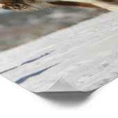 Miniature Horses Standing in the Snow Poster (Ecke)