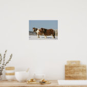 Miniature Horses Standing in the Snow Poster (Küche)