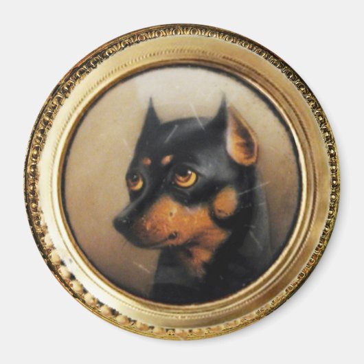 MINIATURE HUND PORTRAS Pincher Magnet (Vorne)