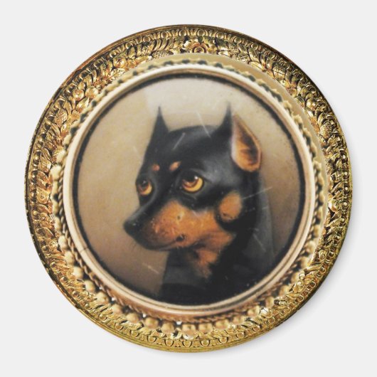 MINIATURE HUND PORTRAS Pincher Magnet (Vorne)