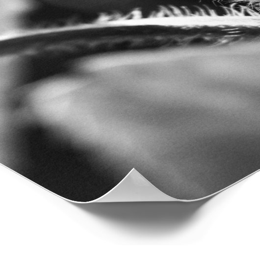 Miniature Mantis Poster (Ecke)