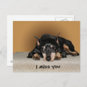Miniature Pinscher aka Min Button Postkarte (Vorne/Hinten)