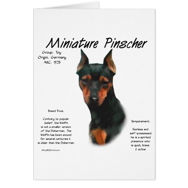 Miniature Pinscher (blk/rust) Historie Design (Vorne)