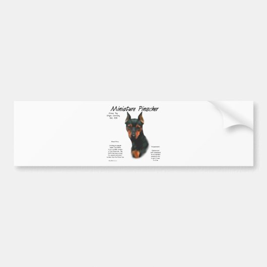 Miniature Pinscher (blk/rust) Historie Design Autoaufkleber (Vorne)