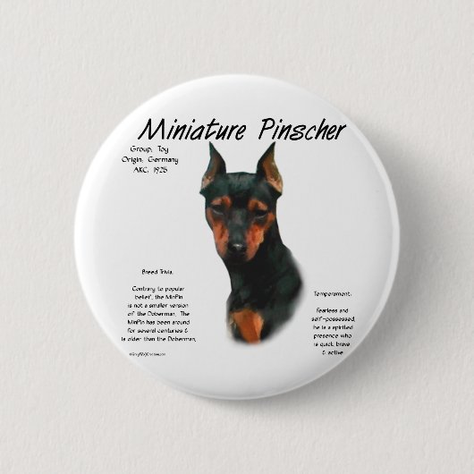 Miniature Pinscher (blk/rust) Historie Design Button (Vorderseite)