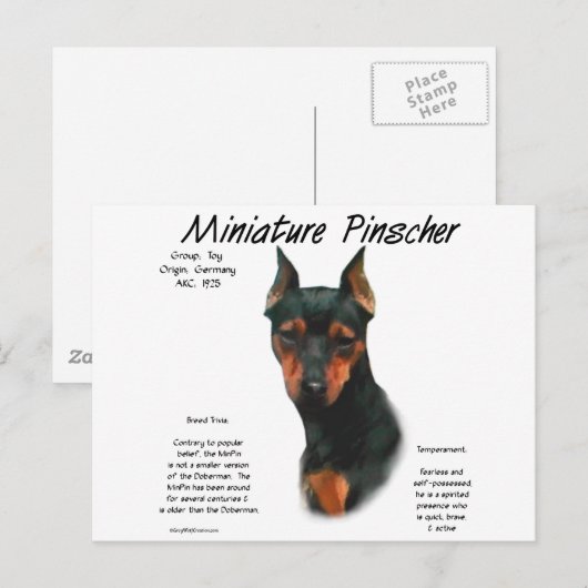 Miniature Pinscher (blk/rust) Historie Design Postkarte (Vorne/Hinten)