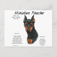 Miniature Pinscher (blk/rust) Historie Design