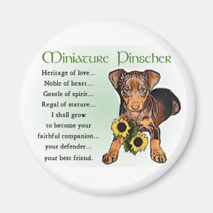 Miniature Pinscher Gifts Magnet