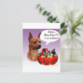 Miniature Pinscher Halloween Candy Postkarte (Stehend Vorderseite)