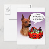 Miniature Pinscher Halloween Candy Postkarte (Vorne/Hinten)