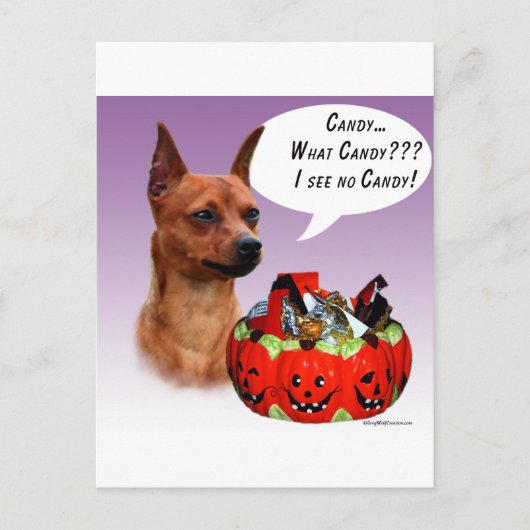 Miniature Pinscher Halloween Candy Postkarte (Vorderseite)