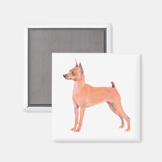 Miniature Pinscher Magnet (Vorderseite/Rückseite)