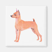 Miniature Pinscher Magnet (Vorne)