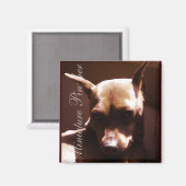 Miniature Pinscher Magnet (Vorderseite/Rückseite)