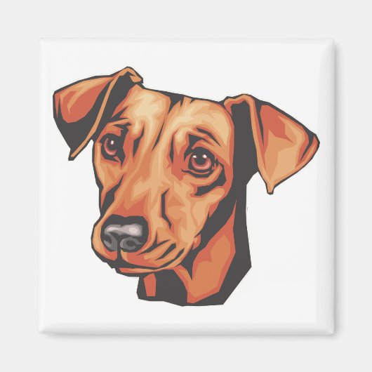 Miniature Pinscher Magnet (Vorne)