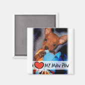 Miniature Pinscher Magnet (Vorderseite/Rückseite)