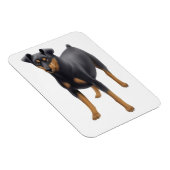 Miniature Pinscher Min Button Premium Magnet (Rechte Seite)