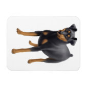 Miniature Pinscher Min Button Premium Magnet (Horizontal)