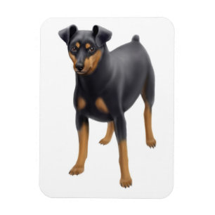 Miniature Pinscher Min Button Premium Magnet