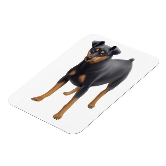Miniature Pinscher Min Button Premium Magnet (Linke Seite)