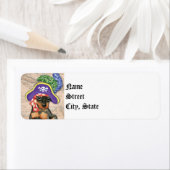 Miniature Pinscher Pirate (Insitu)