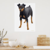 Miniature Pinscher Print Poster (Küche)