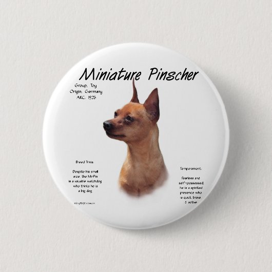 Miniature Pinscher (rot) Historie Design Button (Vorderseite)