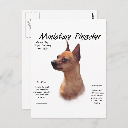 Miniature Pinscher (rot) Historie Design Postkarte (Vorne/Hinten)