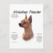 Miniature Pinscher (rot) Historie Design Postkarte (Vorderseite)
