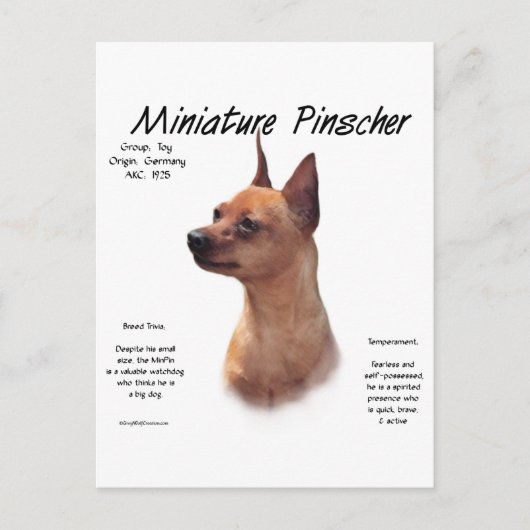 Miniature Pinscher (rot) Historie Design Postkarte (Vorderseite)