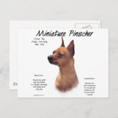 Miniature Pinscher (rot) Historie Design Postkarte (Vorne/Hinten)
