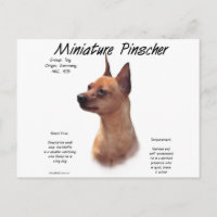 Miniature Pinscher (rot) Historie Design