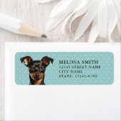 Miniature Pinscher Rücksendeadresse (Insitu)